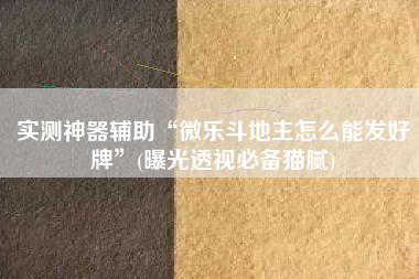 实测神器辅助“微乐斗地主怎么能发好牌”(曝光透视必备猫腻)