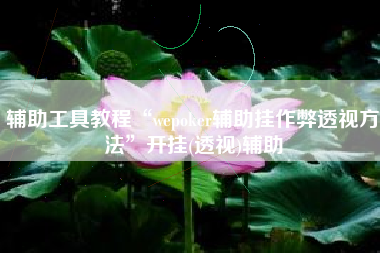 辅助工具教程“wepoker辅助挂作弊透视方法”开挂(透视)辅助