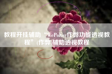 教程开挂辅助“WePoKer作弊功能透视教程”(作弊)辅助透视教程