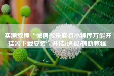 实测教程“微信微乐麻将小程序万能开挂器下载安装	”开挂(透视)辅助教程!