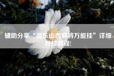 辅助分享“微乐山西麻将万能挂”详细开挂教程!