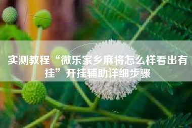 实测教程“微乐家乡麻将怎么样看出有挂	”开挂辅助详细步骤