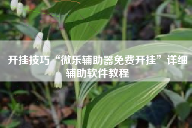 开挂技巧“微乐辅助器免费开挂	”详细辅助软件教程