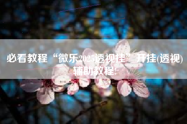 必看教程“微乐2025透视挂	”开挂(透视)辅助教程!