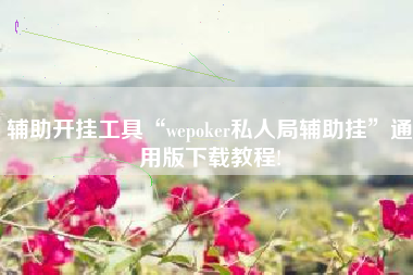 辅助开挂工具“wepoker私人局辅助挂	”通用版下载教程!