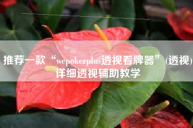 推荐一款“wepokerplus透视看牌器”(透视)详细透视辅助教学