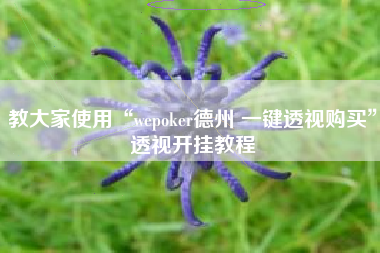 教大家使用“wepoker德州 一键透视购买”透视开挂教程