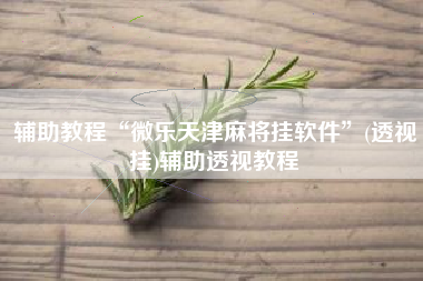 辅助教程“微乐天津麻将挂软件”(透视挂)辅助透视教程