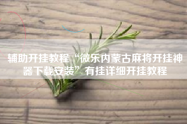 辅助开挂教程“微乐内蒙古麻将开挂神器下载安装	”有挂详细开挂教程