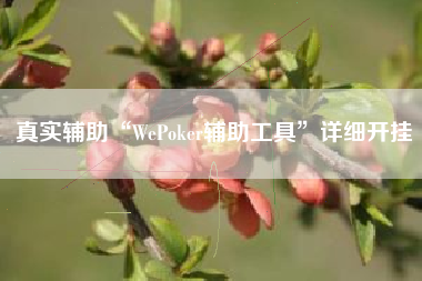 真实辅助“WePoker辅助工具”详细开挂
