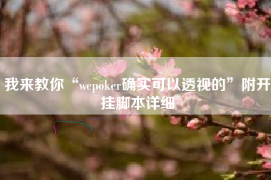 我来教你“wepoker确实可以透视的	”附开挂脚本详细