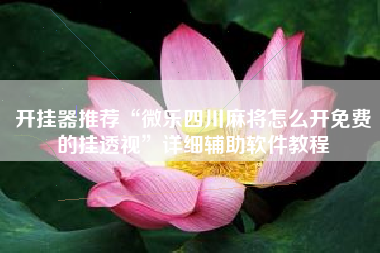 开挂器推荐“微乐四川麻将怎么开免费的挂透视”详细辅助软件教程