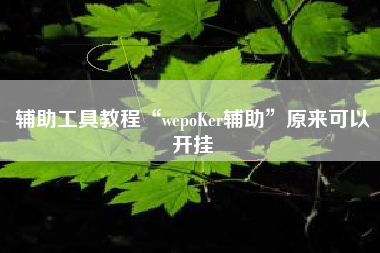 辅助工具教程“wepoKer辅助”原来可以开挂
