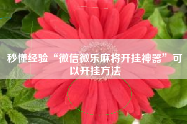 秒懂经验“微信微乐麻将开挂神器	”可以开挂方法