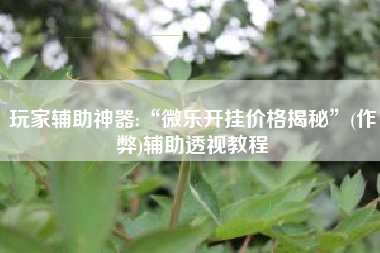 玩家辅助神器:“微乐开挂价格揭秘	”(作弊)辅助透视教程