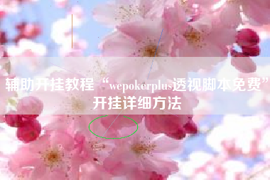 辅助开挂教程“wepokerplus透视脚本免费	”开挂详细方法