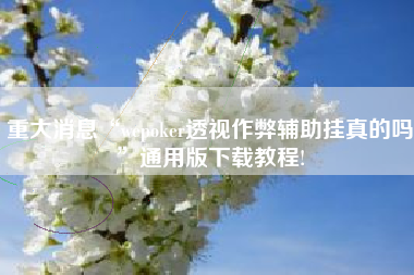 重大消息“wepoker透视作弊辅助挂真的吗	”通用版下载教程!