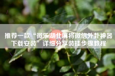 推荐一款“微乐湖北麻将微信外卦神器下载安装”详细分享装挂步骤教程