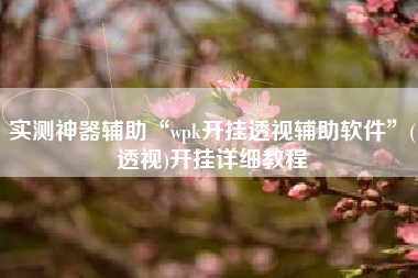 实测神器辅助“wpk开挂透视辅助软件	”(透视)开挂详细教程