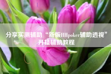 分享实测辅助“新版HHpoker辅助透视	”开挂辅助教程