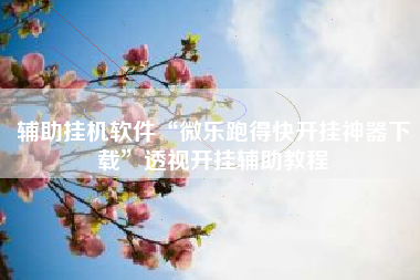 辅助挂机软件“微乐跑得快开挂神器下载”透视开挂辅助教程