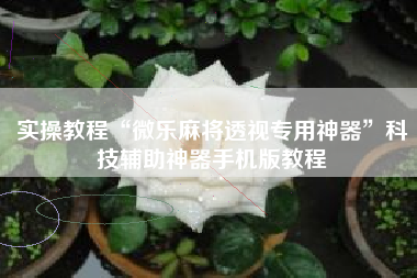 实操教程“微乐麻将透视专用神器”科技辅助神器手机版教程