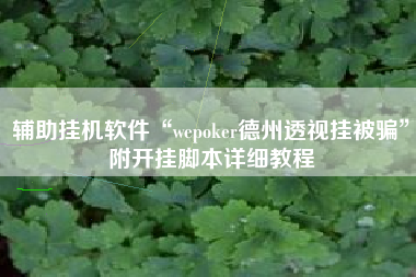 辅助挂机软件“wepoker德州透视挂被骗”附开挂脚本详细教程