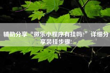 辅助分享“微乐小程序有挂吗?”详细分享装挂步骤!