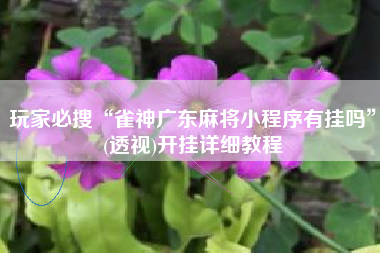 玩家必搜“雀神广东麻将小程序有挂吗	”(透视)开挂详细教程