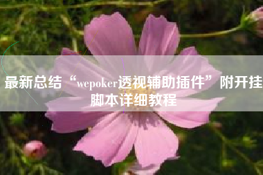 最新总结“wepoker透视辅助插件	”附开挂脚本详细教程