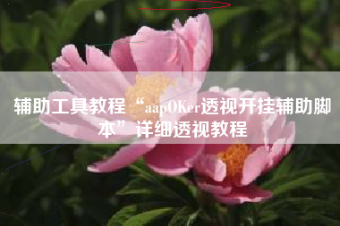 辅助工具教程“aapOKer透视开挂辅助脚本”详细透视教程