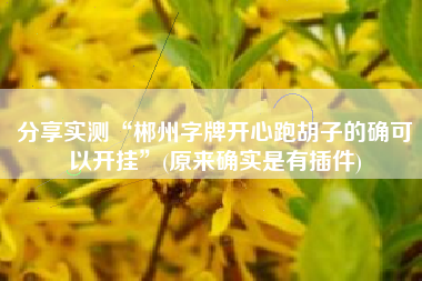 分享实测“郴州字牌开心跑胡子的确可以开挂”(原来确实是有插件)