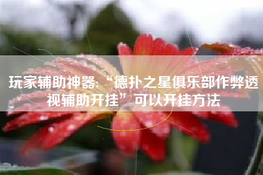 玩家辅助神器:“德扑之星俱乐部作弊透视辅助开挂”可以开挂方法