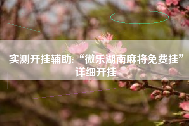 实测开挂辅助:“微乐湖南麻将免费挂”详细开挂