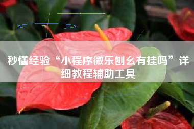 秒懂经验“小程序微乐刨幺有挂吗	”详细教程辅助工具