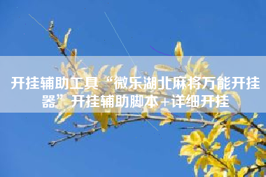 开挂辅助工具“微乐湖北麻将万能开挂器”开挂辅助脚本+详细开挂