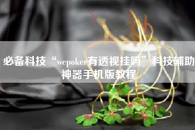 必备科技“wepoker有透视挂吗”科技辅助神器手机版教程