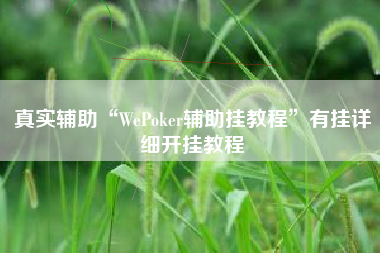 真实辅助“WePoker辅助挂教程	”有挂详细开挂教程