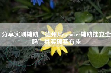分享实测辅助“德州局wepoker辅助挂安全吗”其实确实有挂