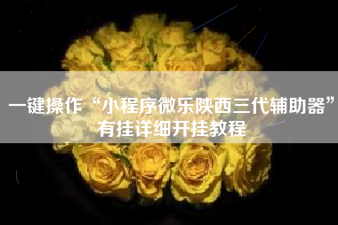 一键操作“小程序微乐陕西三代辅助器”有挂详细开挂教程