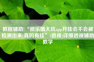 教程辅助!“微乐填大坑app开挂会不会被检测出来[真的有挂”(透视)详细透视辅助教学