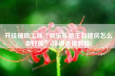 开挂辅助工具“微乐斗地主自建房怎么拿好牌”(详细透视教程)