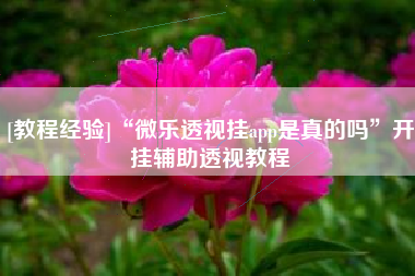 [教程经验]“微乐透视挂app是真的吗	”开挂辅助透视教程