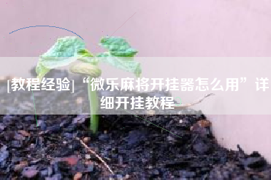 [教程经验]“微乐麻将开挂器怎么用	”详细开挂教程