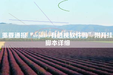 重要通报“wepoker有透视软件吗	”附开挂脚本详细