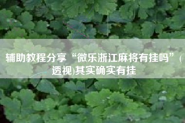 辅助教程分享“微乐浙江麻将有挂吗”(透视)其实确实有挂