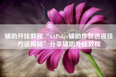 辅助开挂教程“AAPoker辅助作弊透视挂方法揭秘	”分享辅助外挂教程