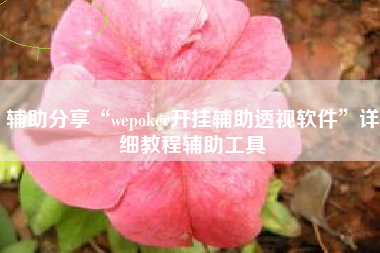 辅助分享“wepoker开挂辅助透视软件”详细教程辅助工具