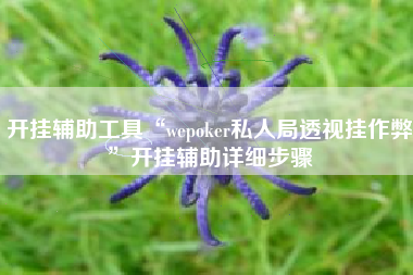 开挂辅助工具“wepoker私人局透视挂作弊”开挂辅助详细步骤