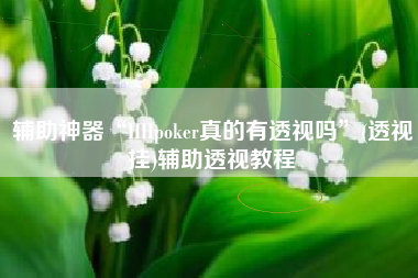 辅助神器“HHpoker真的有透视吗”(透视挂)辅助透视教程